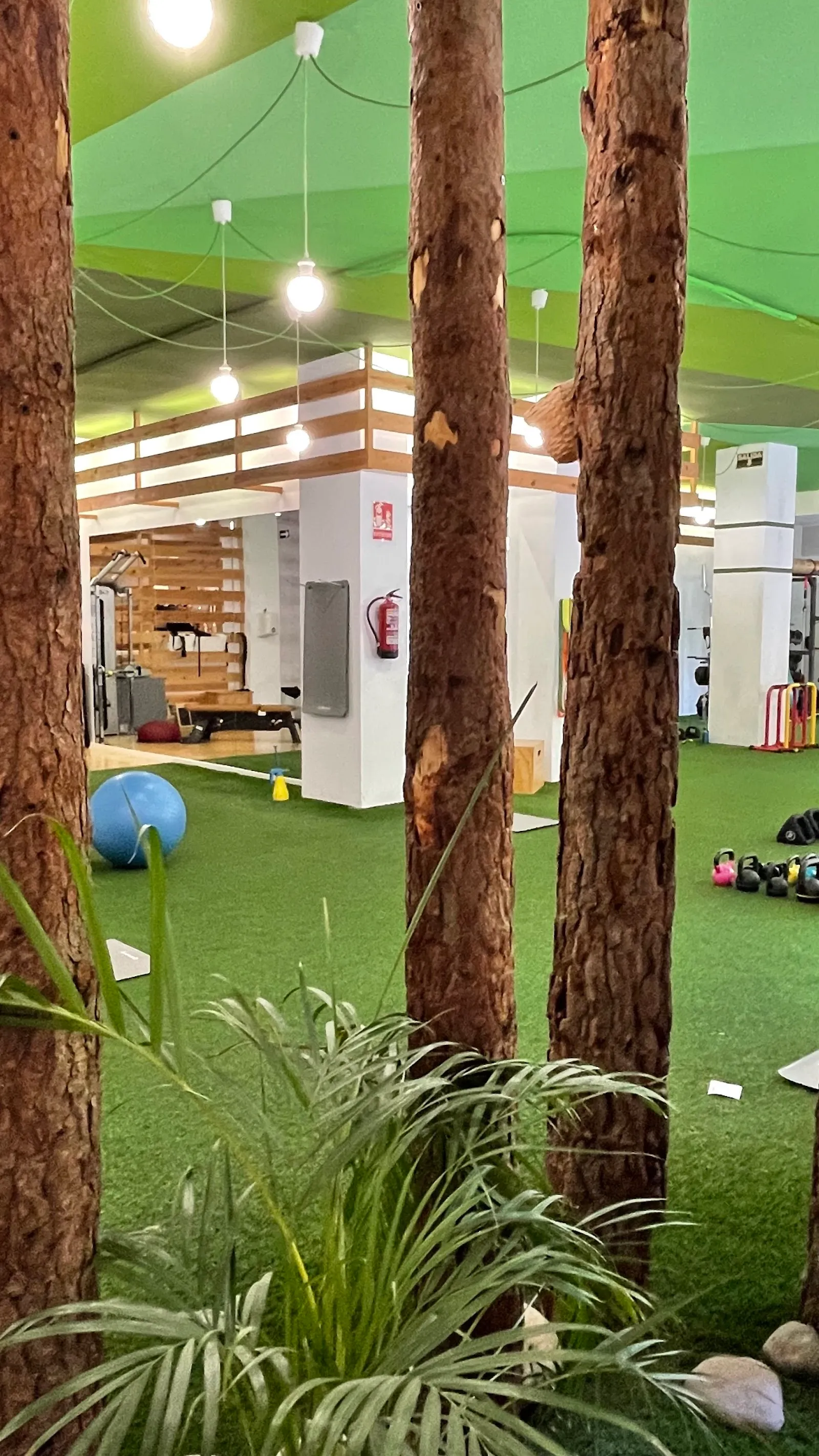 I Feel Good! Castellón — estudio de fitness-studio en Castelló de la Plana — 3