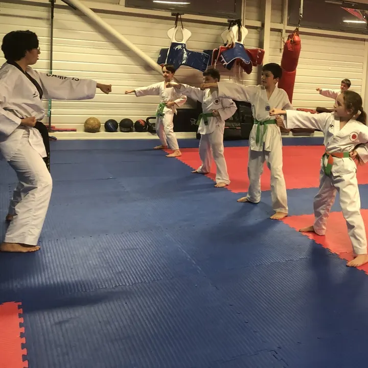 Taekwondo Teyran — Kickboxing à Teyran