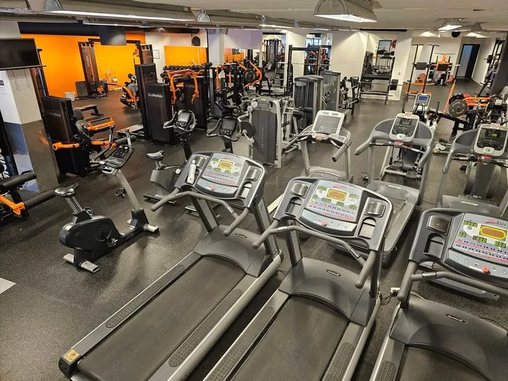 Audna Gym — Fitness Studio i Malmø, Mandal