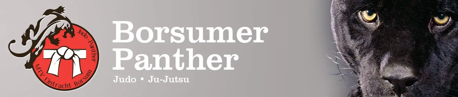 BORSUMER PANTHER — kampfsport-studio in Harsum-Borsum — 2