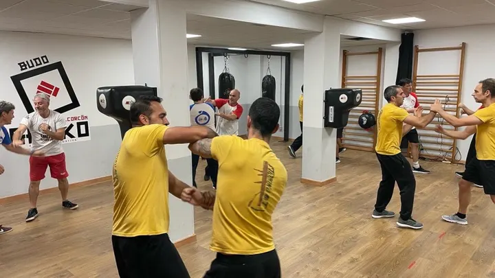 Wing Chun Alcorcón — Martial Arts en Norte, Alcorcón