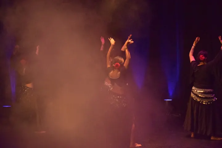 Les Orientales, danse modern' orientale — danse-studio à Gares, Montpellier — 3