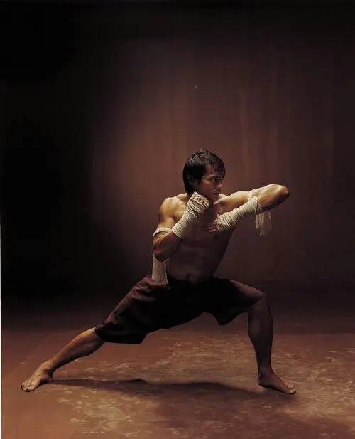 Kampfkunstschule Real Fight — mma-studio in Schwieberdingen, Stuttgart — 2
