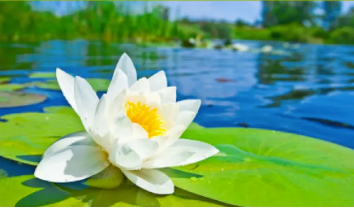 Viva Yoga Studio — yoga-studio en Toledo — 3