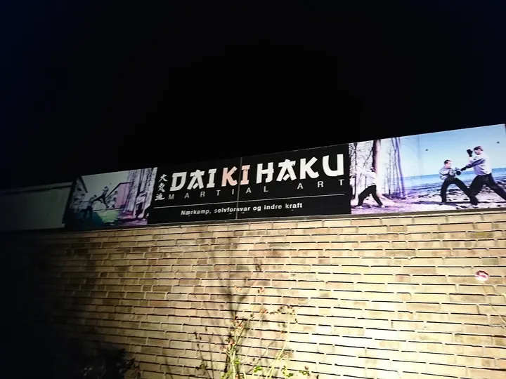 Viborg Dai Ki Haku — kampsport-studio i Viborg — 4