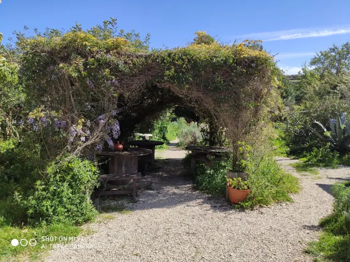 Ashram Ram Dass Guru Quinta do Rajo — meditação-studio em São João das Lampas — 3