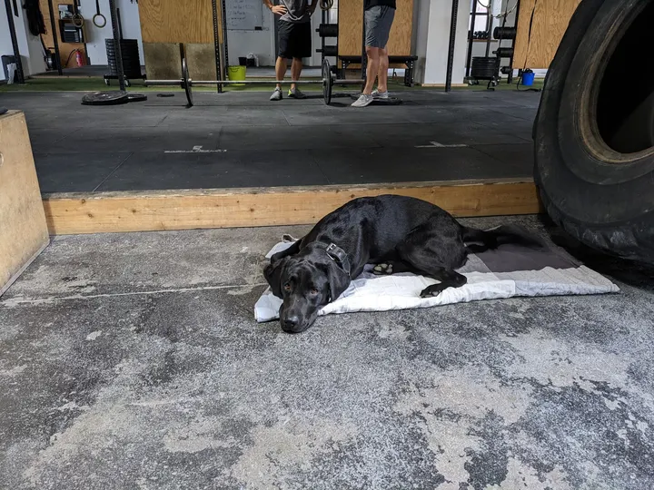 CrossFit Werk — crossfit-studio in Berlin — 5