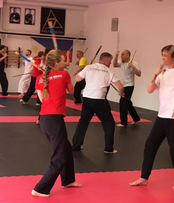 Minami Budokai — martial arts-studio in Stockholm — 3