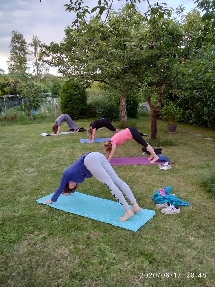 Abyasa Yoga Nord Isere — yoga-studio à Frontonas — 4