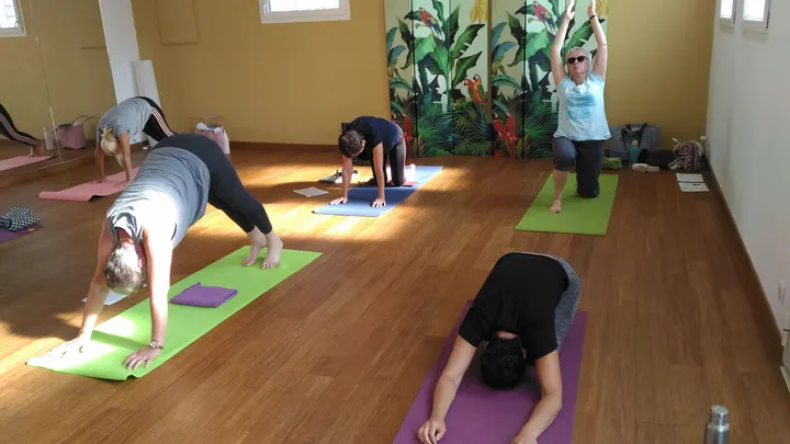 Abyasa Yoga Nord Isere — yoga-studio à Frontonas — 5