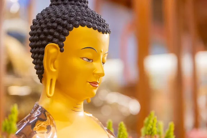Kadampa Meditationszentrum Stuttgart — Meditation in Feuersee, Stuttgart