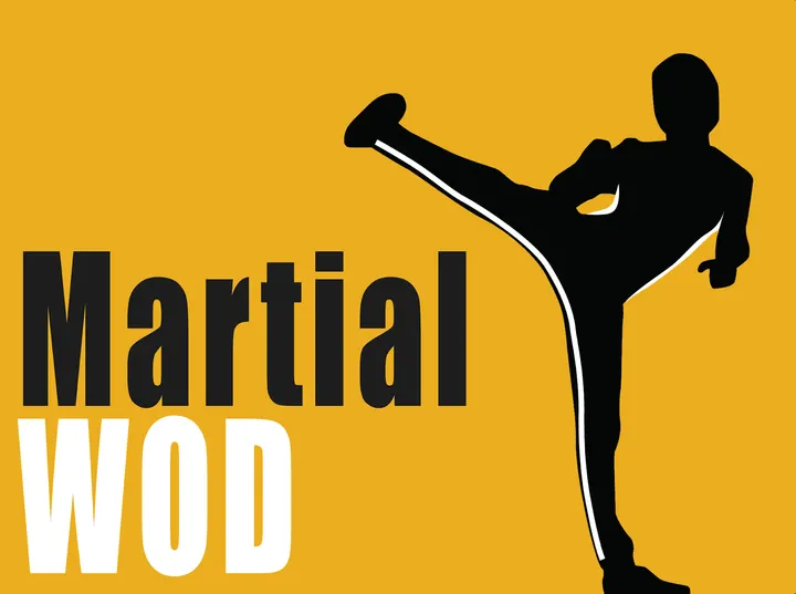 Bruce Lee's Jeet Kune Do with JKD London (Sifu Lak Loi) — fitness studio in London — 5