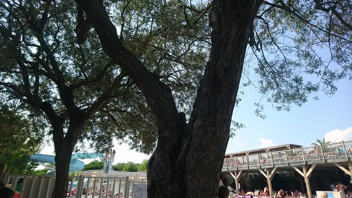 Cap Form Saint Raphael — Salle de fitness à Saint-Raphaël