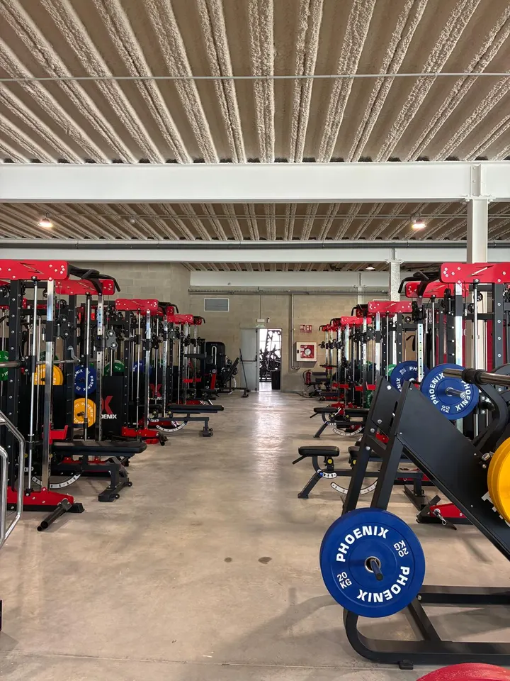 Phoenix Academy — entrenamiento funcional-studio en Tajonar — 5