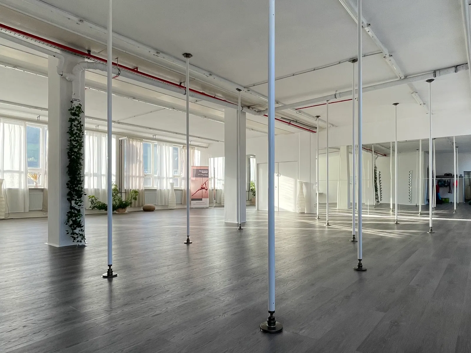 Pole Acrobatics Deggingen — pole fitness-studio i Stuttgart — 4