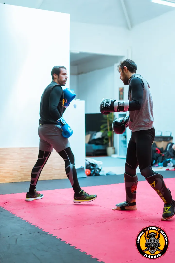 Martial Spirit Academy Las Ventas — Artes marciales en Ciudad Lineal, Madrid