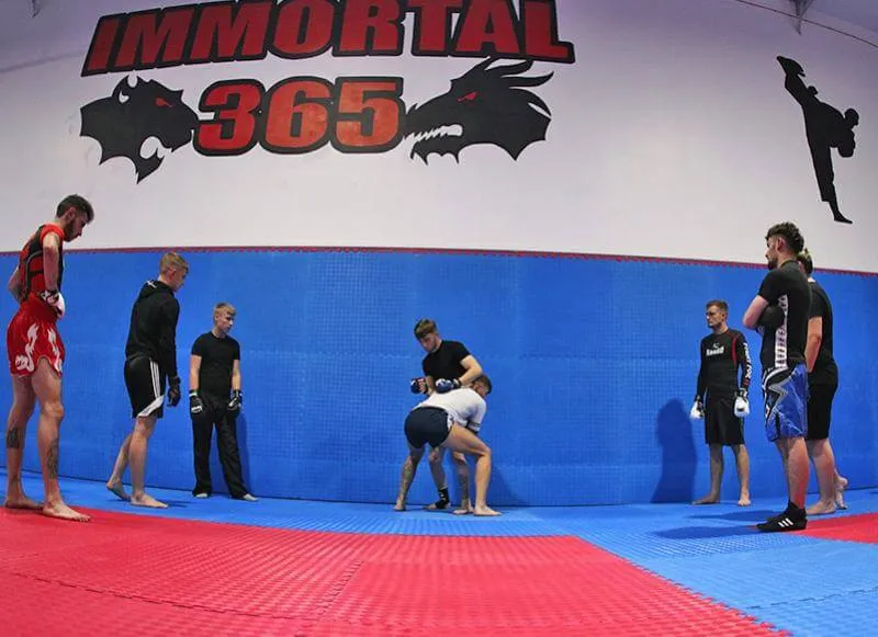 Immortal 365 Family Martial Arts & Fitness Academy — martial arts-studio in Peterborough — 2