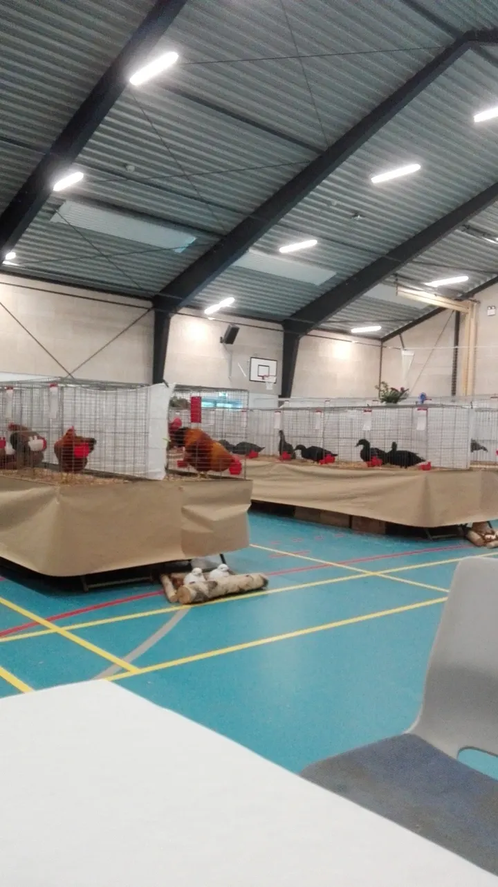Grauballe Ungdoms- og Gymnastikforening — træningsstudio i Silkeborg — 2