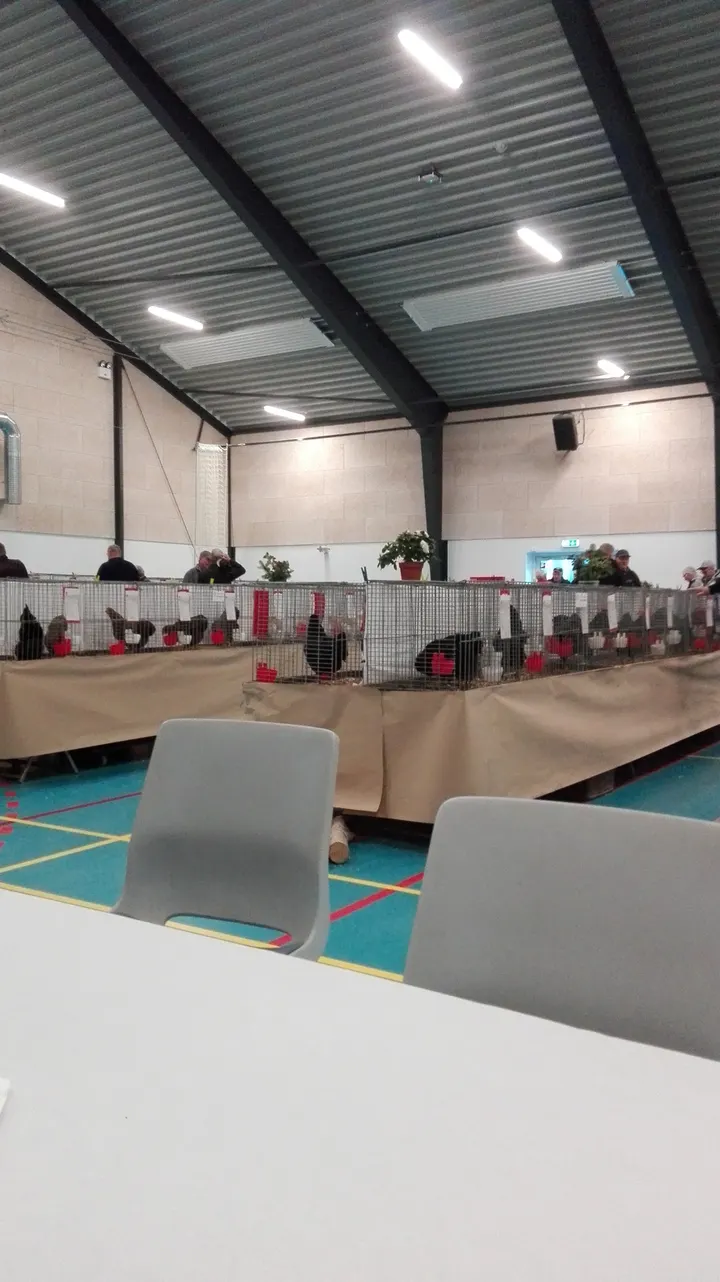 Grauballe Ungdoms- og Gymnastikforening — træningsstudio i Silkeborg — 3