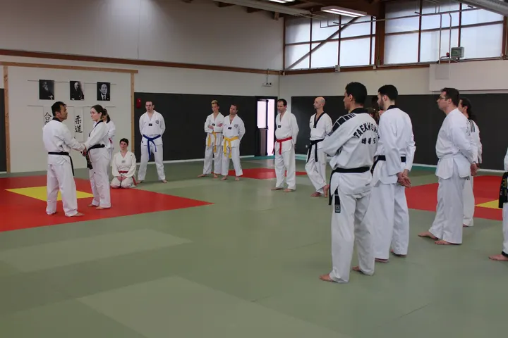 CHONKWON Taekwondo — Arts martiaux à Chantepie