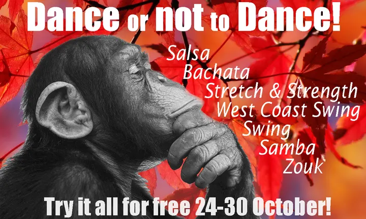Dancify — dans-studio i Oslo — 4