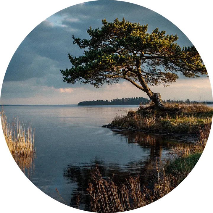 Healing and therapeutic practices w/ Marie Lumholtz — meditation-studio i Brede, Kongens Lyngby