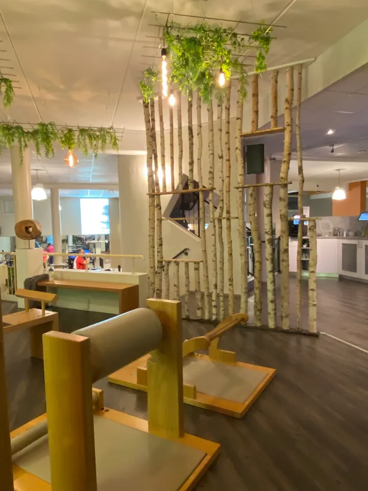 LIFECYCLE Wörrstadt — fitnessstudio in Wörrstadt — 2