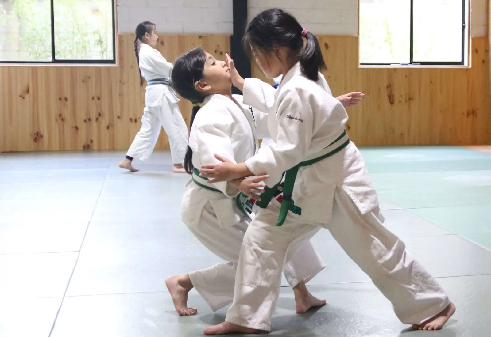 Sobukai Estudio. Artes Marciales Japonesas.Takeda. Ryu Budo. — artes marciales-studio en Guanarteme, Las Palmas de Gran Canaria — 2