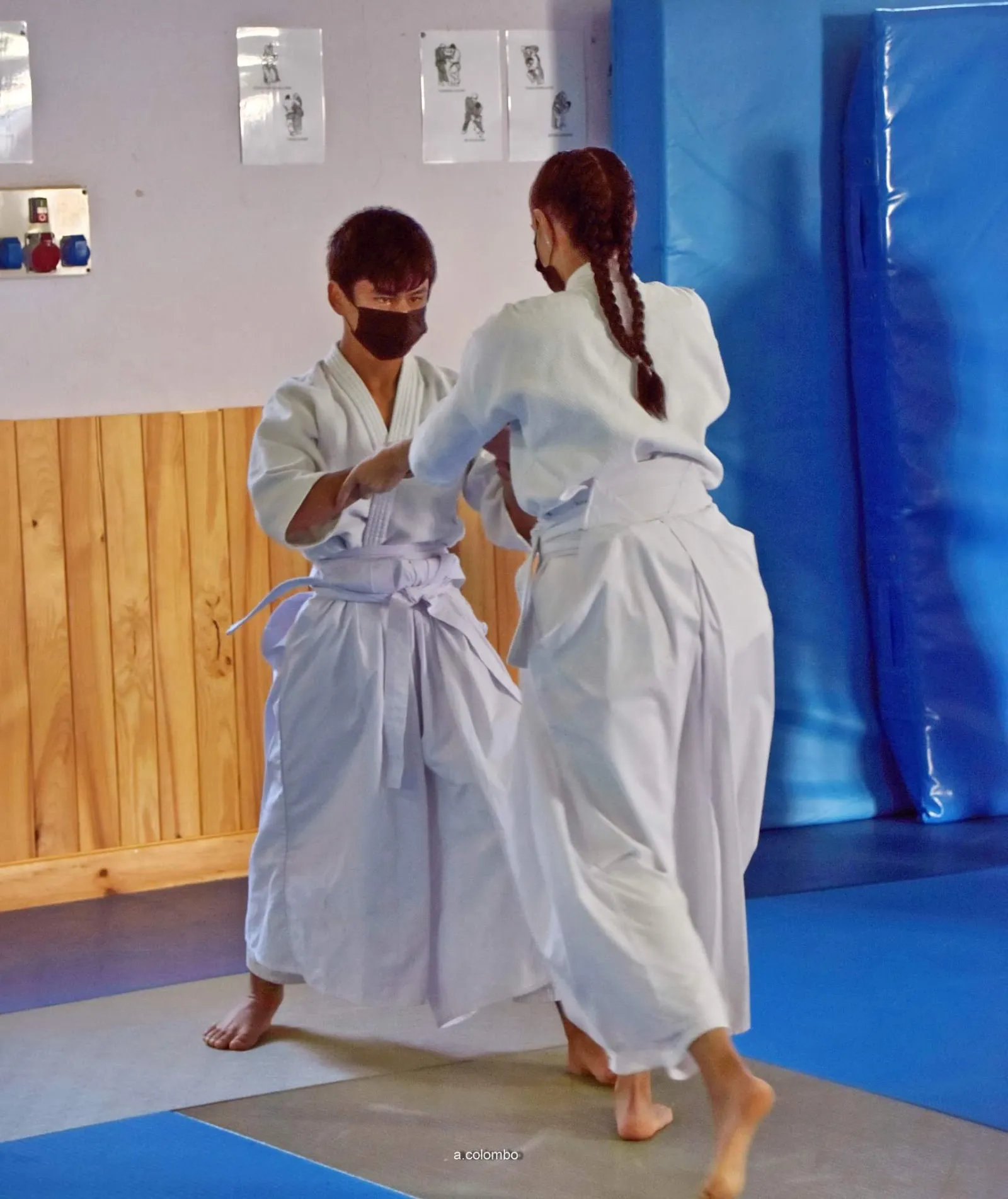 Sobukai Estudio. Artes Marciales Japonesas.Takeda. Ryu Budo. — artes marciales-studio en Guanarteme, Las Palmas de Gran Canaria — 3