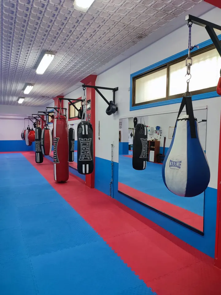 MT Boxing Santurtzi — Artes marciales en Balparda, Santurtzi