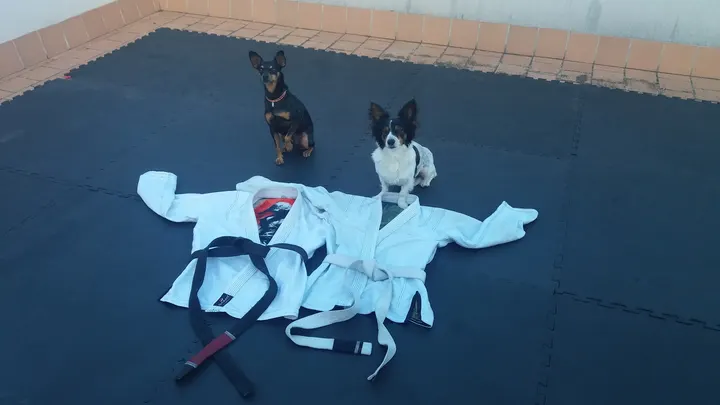 Jiu-Jitsu Club — BJJ en La Soledat Nord, Palma