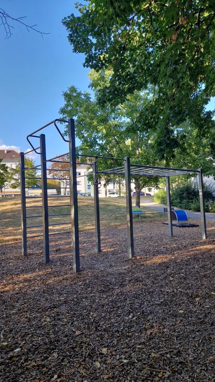 Calisthenics Park | Street Workout Park | Calisthenics-Anlage — fitnessstudio in Ludwigshafen am Rhein — 3