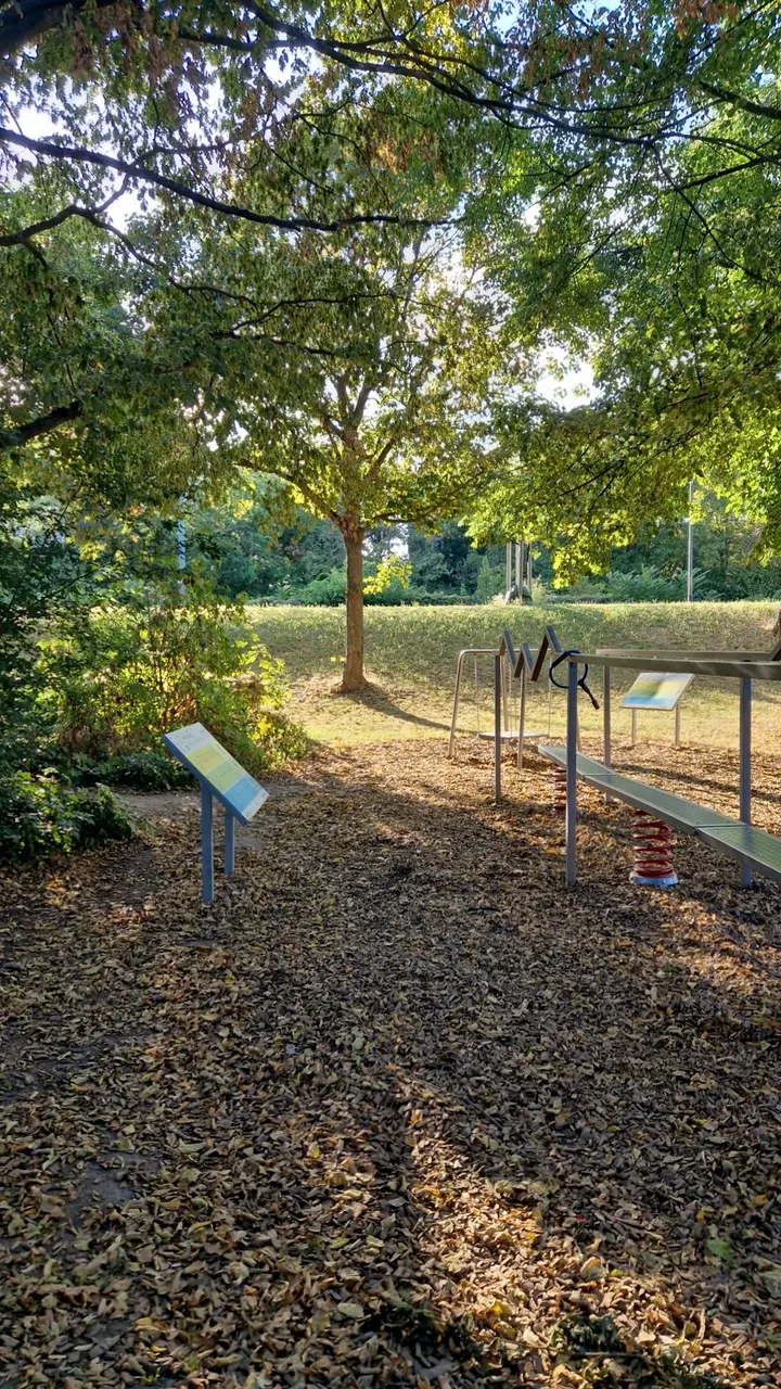 Calisthenics Park | Street Workout Park | Calisthenics-Anlage — fitnessstudio in Ludwigshafen am Rhein — 4
