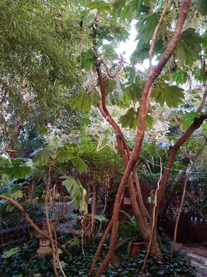 Centro Zen Anshin — meditazione-studio a Roma — 3