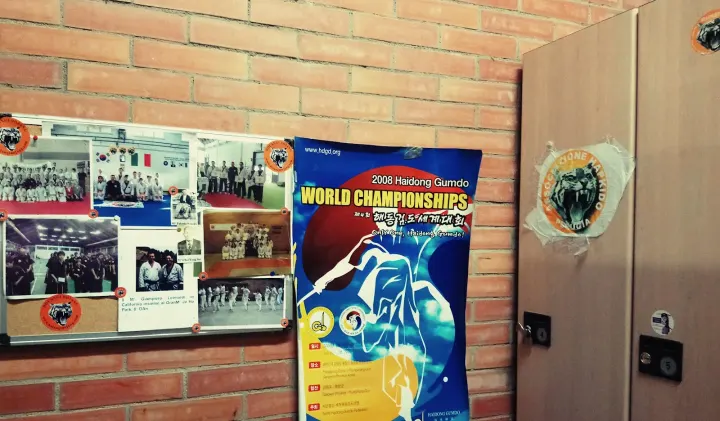TAEKWONDO — arti marziali-studio a Sant'Erminio, Perugia — 2