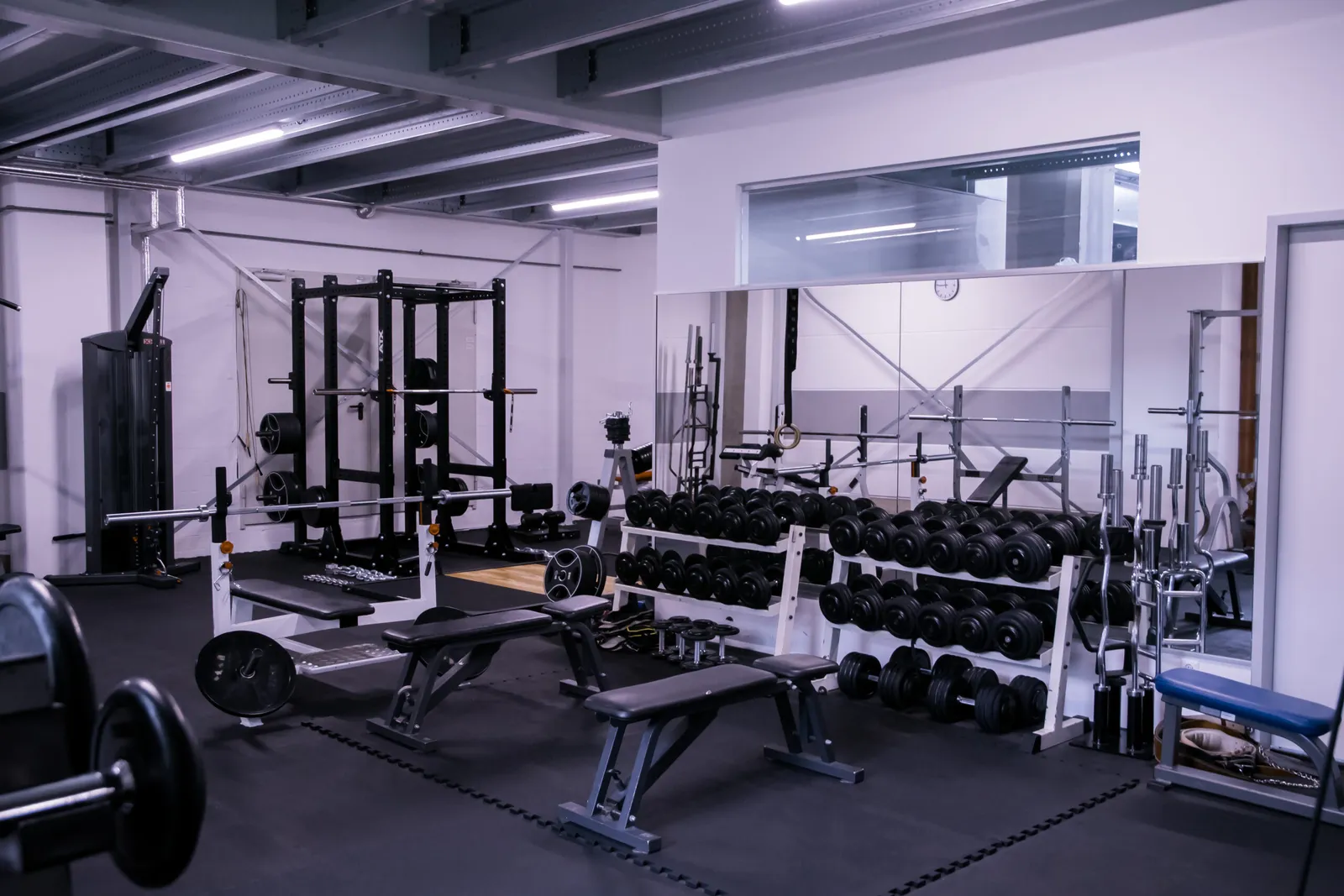 Lewey-Training Thalmässing1 — pt-studio i Nürnberg — 2