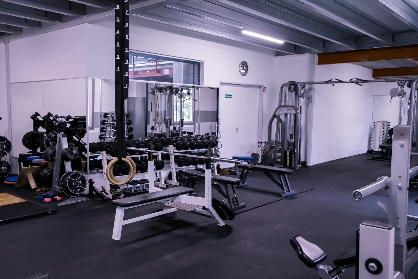 Lewey-Training Thalmässing1 — pt-studio i Nürnberg — 3