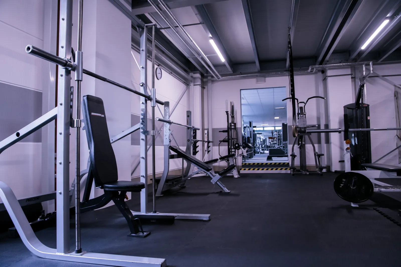 Lewey-Training Thalmässing1 — pt-studio i Nürnberg — 3