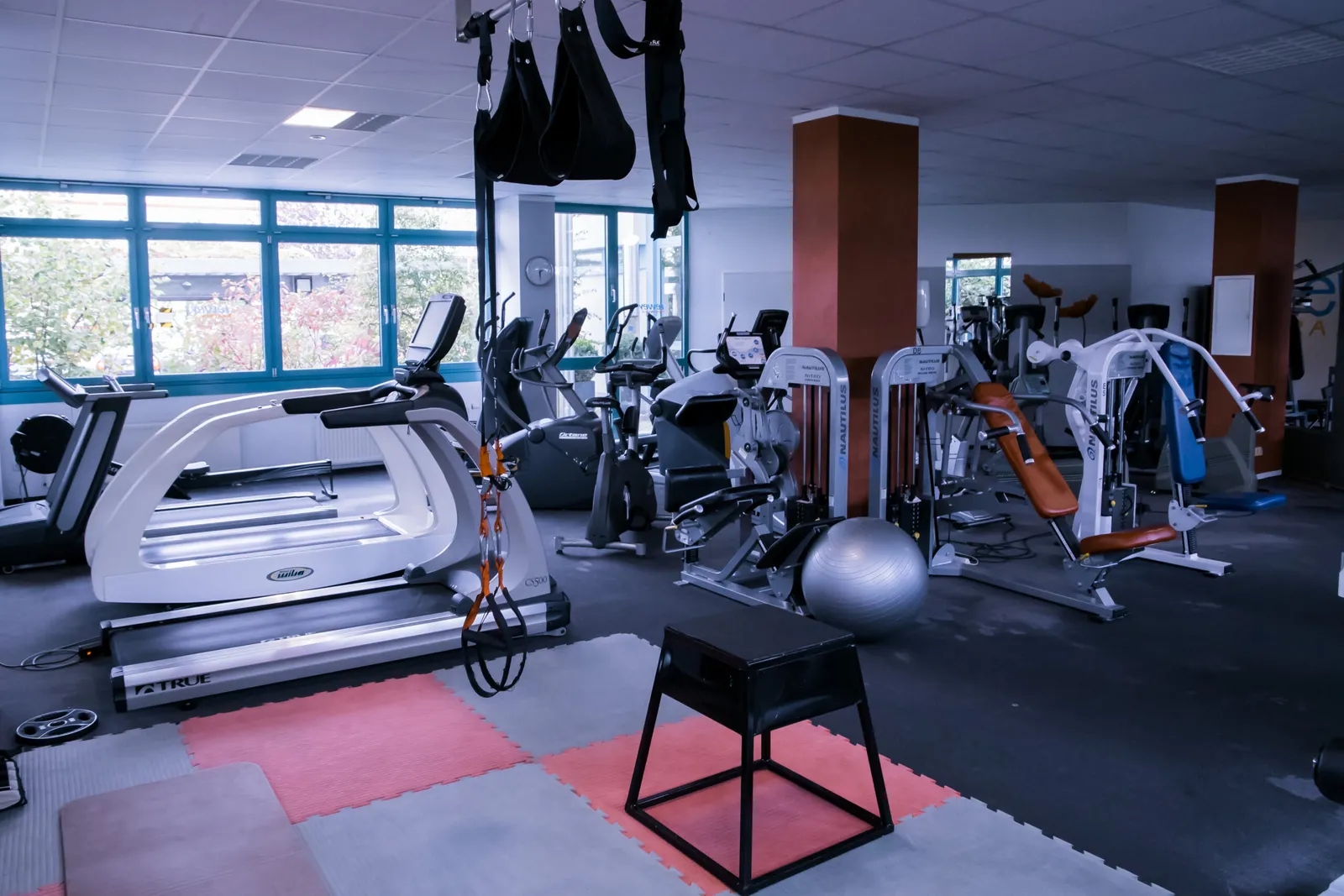 Lewey-Training Thalmässing1 — pt-studio i Nürnberg — 6