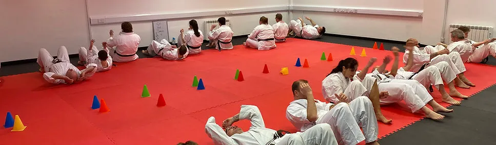 Sakura Martial Arts (Devon) — martial arts-studio in Newton Abbot — 2