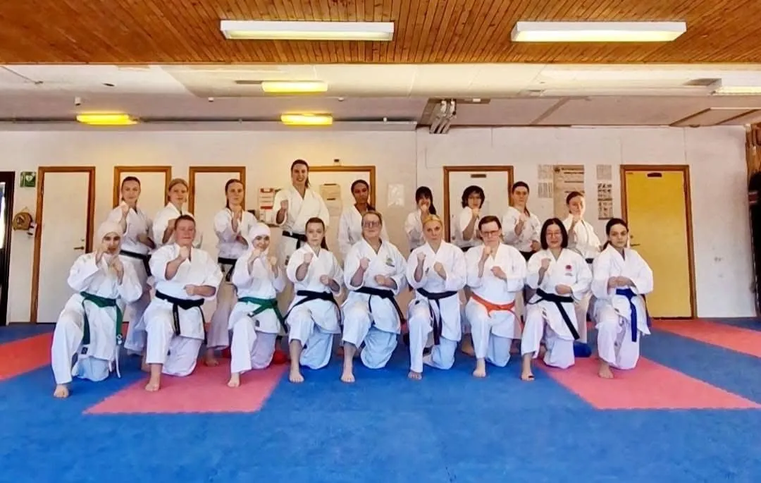 Turebergs Karateklubb — kampsport-studio i Norrviken, Sollentuna — bild 2