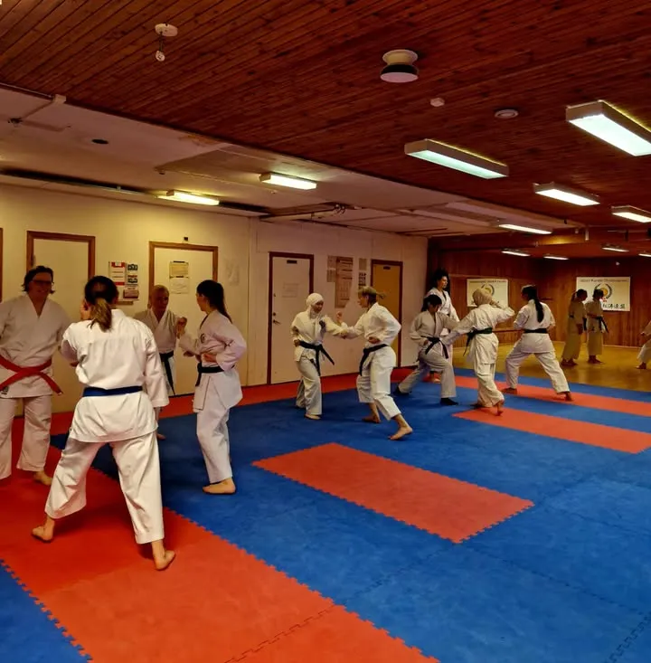 Turebergs Karateklubb — kampsport-studio i Norrviken, Sollentuna — bild 3