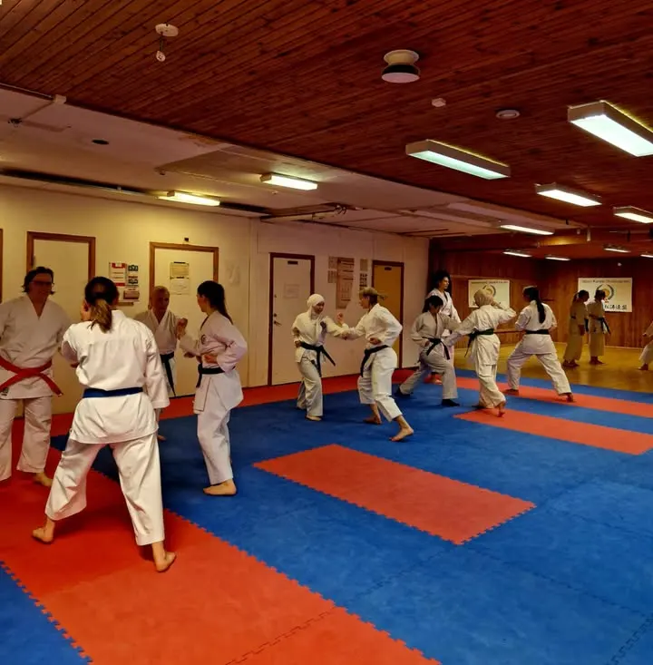 Turebergs Karateklubb — martial arts-studio in Sollentuna, Stockholm — 3
