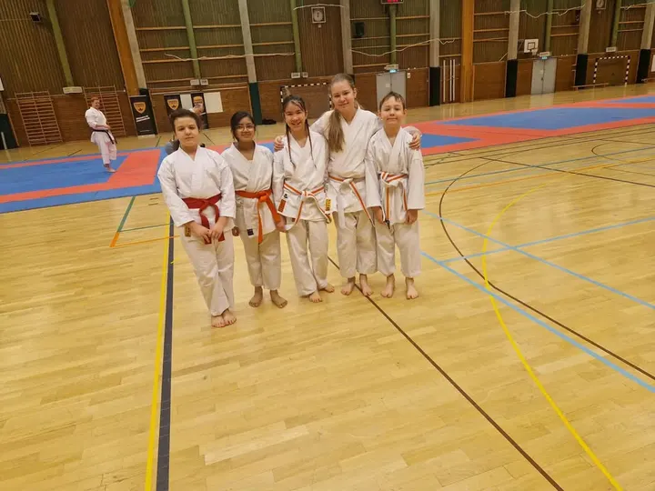 Turebergs Karateklubb — martial arts-studio in Stockholm — 3