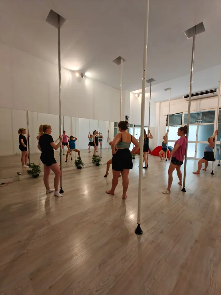 Málaga Pole & Aerial Studio — pole fitness-studio en La Princesa, Málaga — 3