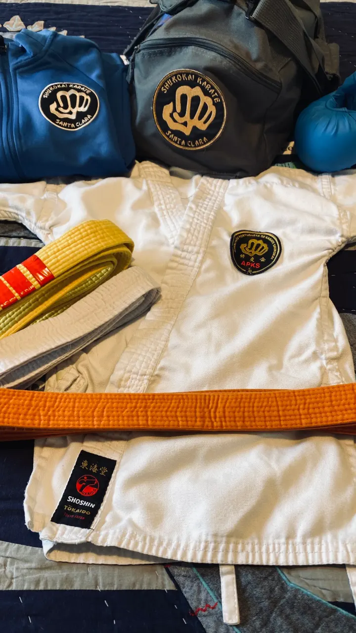Nintai Dojo Artes Marciais — artes marciais-studio em Fala, Coimbra — 2