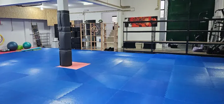 Nintai Dojo Artes Marciais — artes marciais-studio em Fala, Coimbra — 3