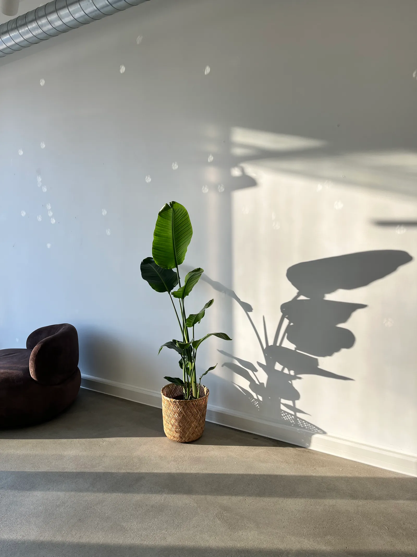 Kontur Studios - Reformer Pilates, Matcha & Events — reformer pilates-studio i Nürnberg — 3