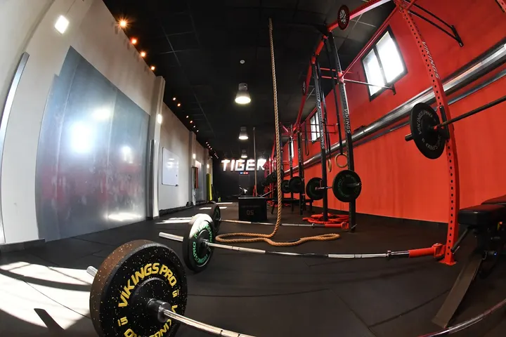 Tiger Fitness Club — palestre-studio a San Giorgio a Cremano — 4
