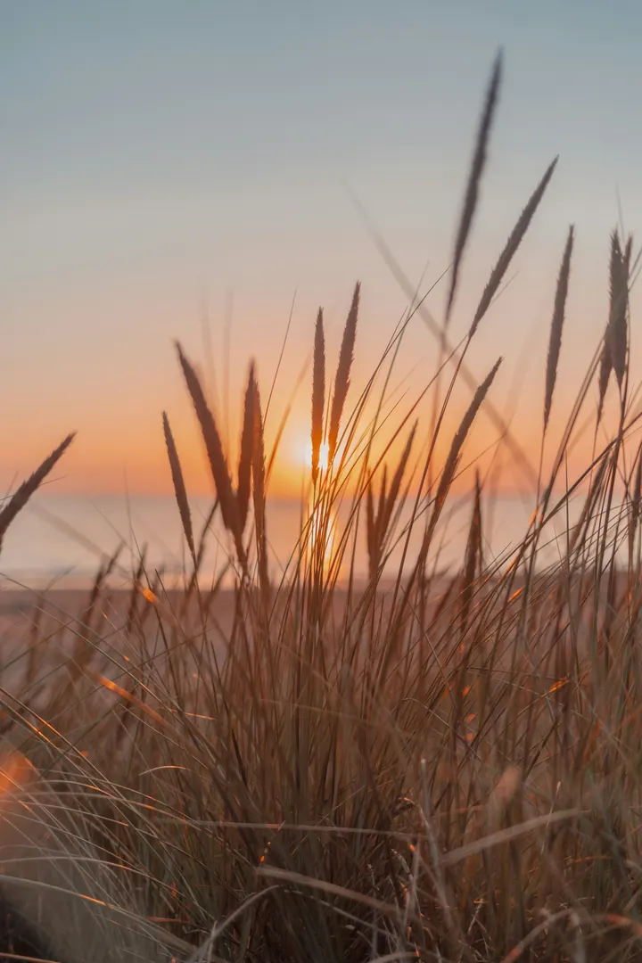 Compass Yoga — yoga-studio in Almere — 3